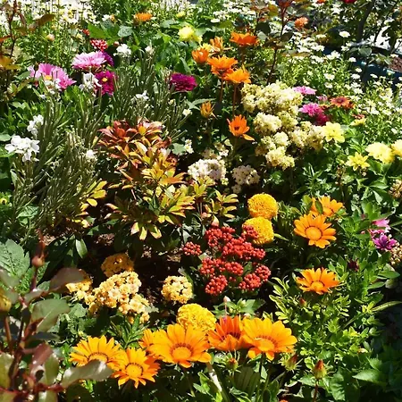 Hotel Garden Terrace Old *